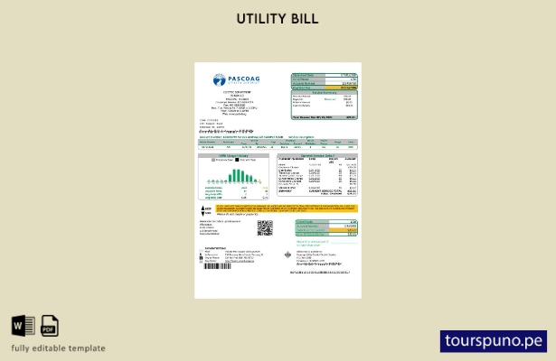 lista para imprimir plantilla de factura de servicios públicos del distrito de s